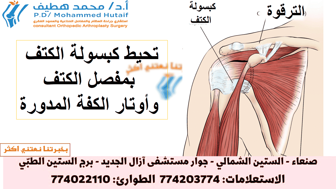  الكتف المتجمد  ملخص الكتف المتجمد ، ويسمى أيضًا التهاب المحفظة اللاصق ، يسبب ألمًا وتيبسًا في الكتف. بمرور الوقت ، يصبح من الصعب جدًا تحريك الكتف.  بعد فترة من تفاقم الأعراض ، يميل الكتف المتجمد إلى التحسن ، على الرغم من أن الشفاء التام قد يستغرق ما يصل إلى 3 سنوات. العلاج الطبيعي ، مع التركيز على مرونة الكتف ، هو العلاج الأساسي للكتف المتجمدة.  يصيب الكتف المتجمد بشكل شائع الأشخاص الذين تتراوح أعمارهم بين 40 و 60 عامًا ، ويحدث عند النساء أكثر من الرجال. بالإضافة إلى ذلك ، يتعرض مرضى السكري لخطر الإصابة بتجمد الكتف.  تزداد خطورة الإصابة بالكتف المتجمدة ما إذا كنت تتماثل للشفاء من إجراء أو حالة طبية تمنعك من تحريك ذراعك، كالسكتة الدماغية أو استئصال الثدي. الوسائط ذات الصلة تمارين تأهيل الكفة والكتف يتضمن علاج الكتف المتجمدة تمارين مدى الحركة وأحيانًا ما يتضمن الكورتيكوستيرويدات وأدوية مخدرة يتم حقنها بالمحفظة المفصلية. في نسبة صغيرة من الحالات يمكن الإشارة إلى جراحة تنظير المفصل لإرخاء المحفظة المفصلية حتى تتمكن من الحركة بحرية أكبر.  من غير الطبيعي معاودة الإصابة بالكتف المتجمدة في نفس الكتف، ولكن يمكن إصابة بعض الأشخاص في الكتف الأخرى. في هذه النشرة الكتف المتجمد- ملخص الصفحة التالية: تشريح الكتف تشريح -الكتف المتجمد كتفك عبارة عن مفصل كروي ومقبس يتكون من ثلاثة عظام: عظم الذراع العلوي (عظم العضد) وكتفك (اللوح) وعظم الترقوة   يتناسب رأس عظم العضد مع تجويف ضحل في لوح الكتف. هناك نسيج ضام قوي ، يسمى كبسولة الكتف ، يحيط بالمفصل. في هذه النشرة الكتف المتجمد- ملخص تشريح -الكتف المتجمد وصف الكتف المتجمد لمساعدة كتفك على التحرك بسهولة أكبر ، يقوم السائل الزليلي بتشحيم كبسولة الكتف والمفصل.  تشريح الكتف تحيط كبسولة الكتف بمفصل الكتف وأوتار الكفة المدورة. تحدث الإصابة بالكتف المتجمدة عندما تصبح الأنسجة الضامة التي تُغلف المفاصل سميكة ومشدودة.  الوسائط ذات الصلة تمارين تأهيل الكفة والكتف  الصفحة التالية: وصف الكتف المتجمد  وصف الكتف المتجمد في الكتف المتجمد ، تزداد سماكة كبسولة الكتف وتصبح صلبة ومشدودة. تتطور عصابات سميكة من الأنسجة - تسمى التصاقات. في كثير من الحالات ، يوجد سائل زليلي أقل في المفصل.  العلامات المميزة لهذه الحالة هي الألم الشديد وعدم القدرة على تحريك كتفك - إما بمفردك أو بمساعدة شخص آخر. يتطور على ثلاث مراحل:  مرحلة التجميد  في مرحلة 