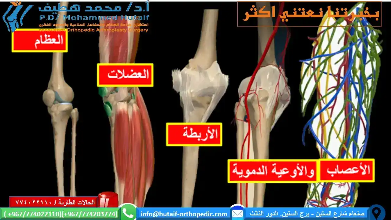 افضل دكتور عظام ممتاز افضل دكتور مفاصل ممتاز