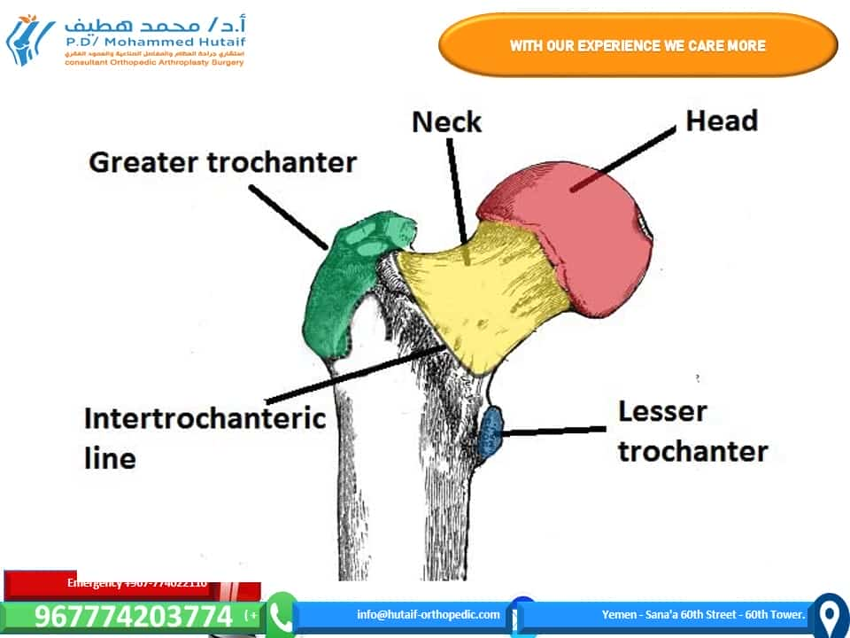 BEST ORTHOPEDIC SURGEON YEMEN